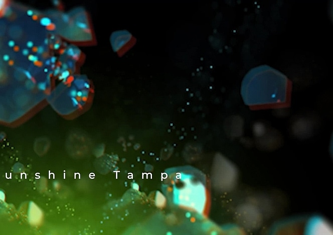 Freeze-Fight-Mia-Hope-Sunshine-Tampa